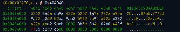 Inspecionando a flag codificada com o comando x  do radare2.